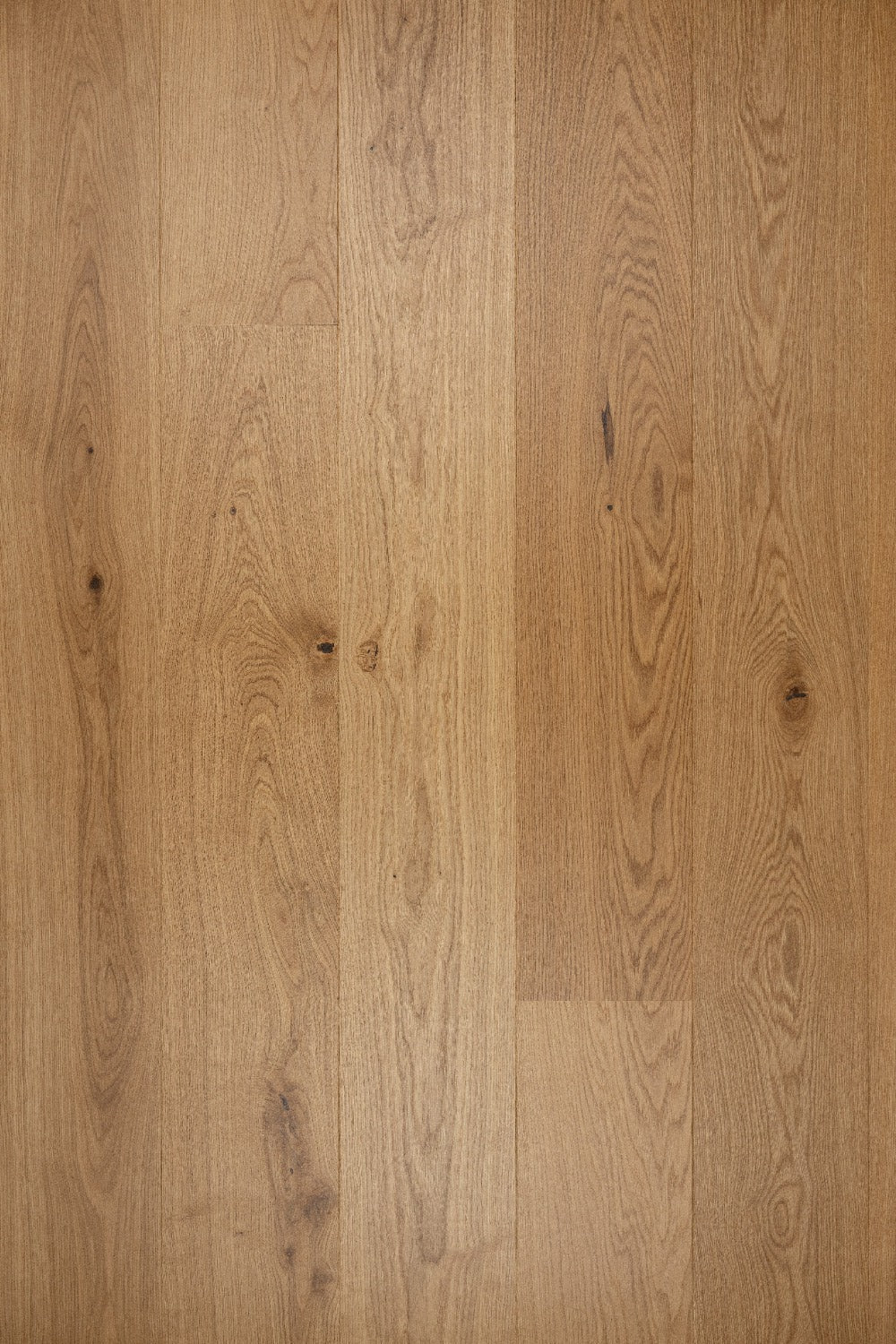 Moland Aston - Eg Matlak (Trend Sortering) - TC - gulve