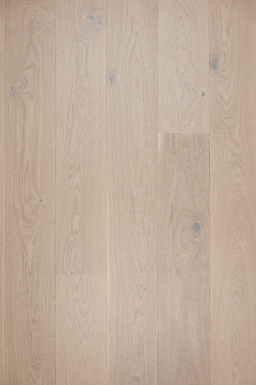 Moland Aston - Eg Hvid Matlak (Trend Sortering) - TC - gulve