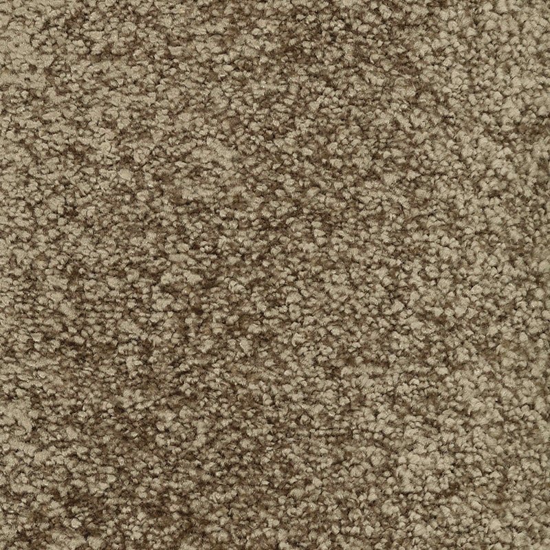 Fletco Bichon - Desert Stone - TC - gulve