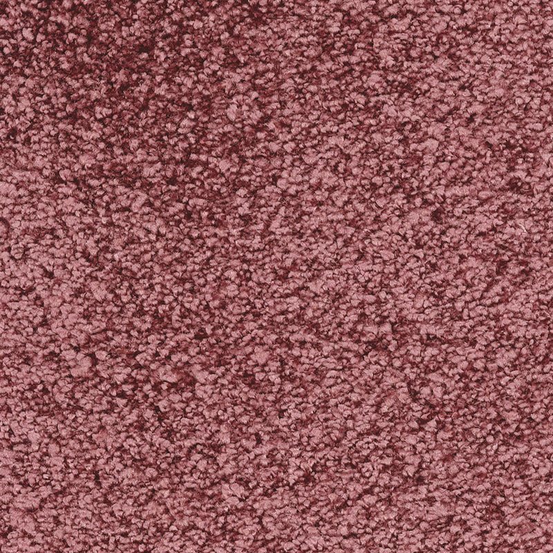 Fletco Bichon - Dusty Blush - TC - gulve