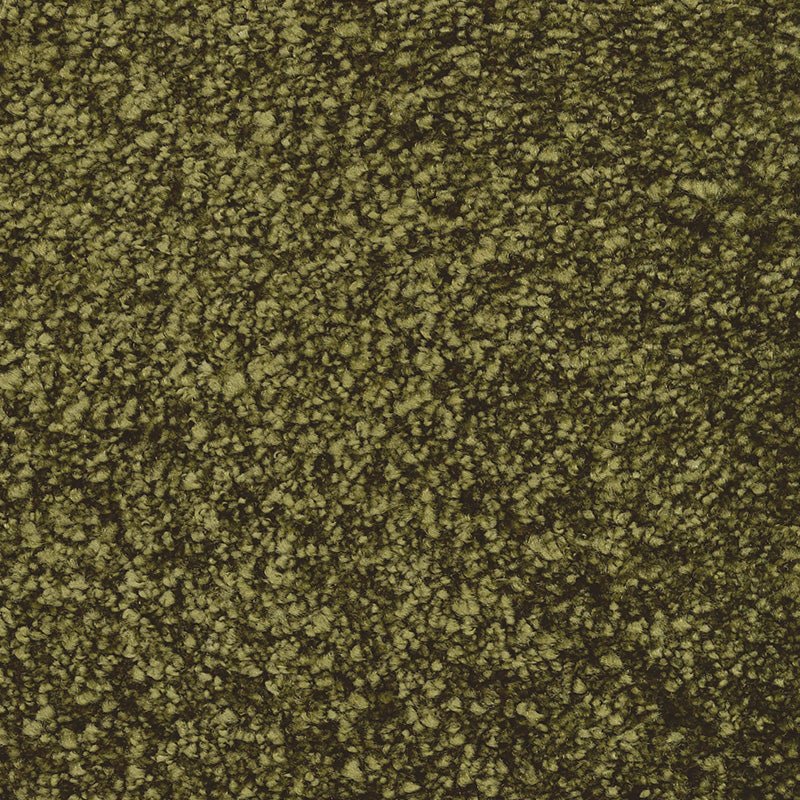 Fletco Bichon - Olive Gold - TC - gulve
