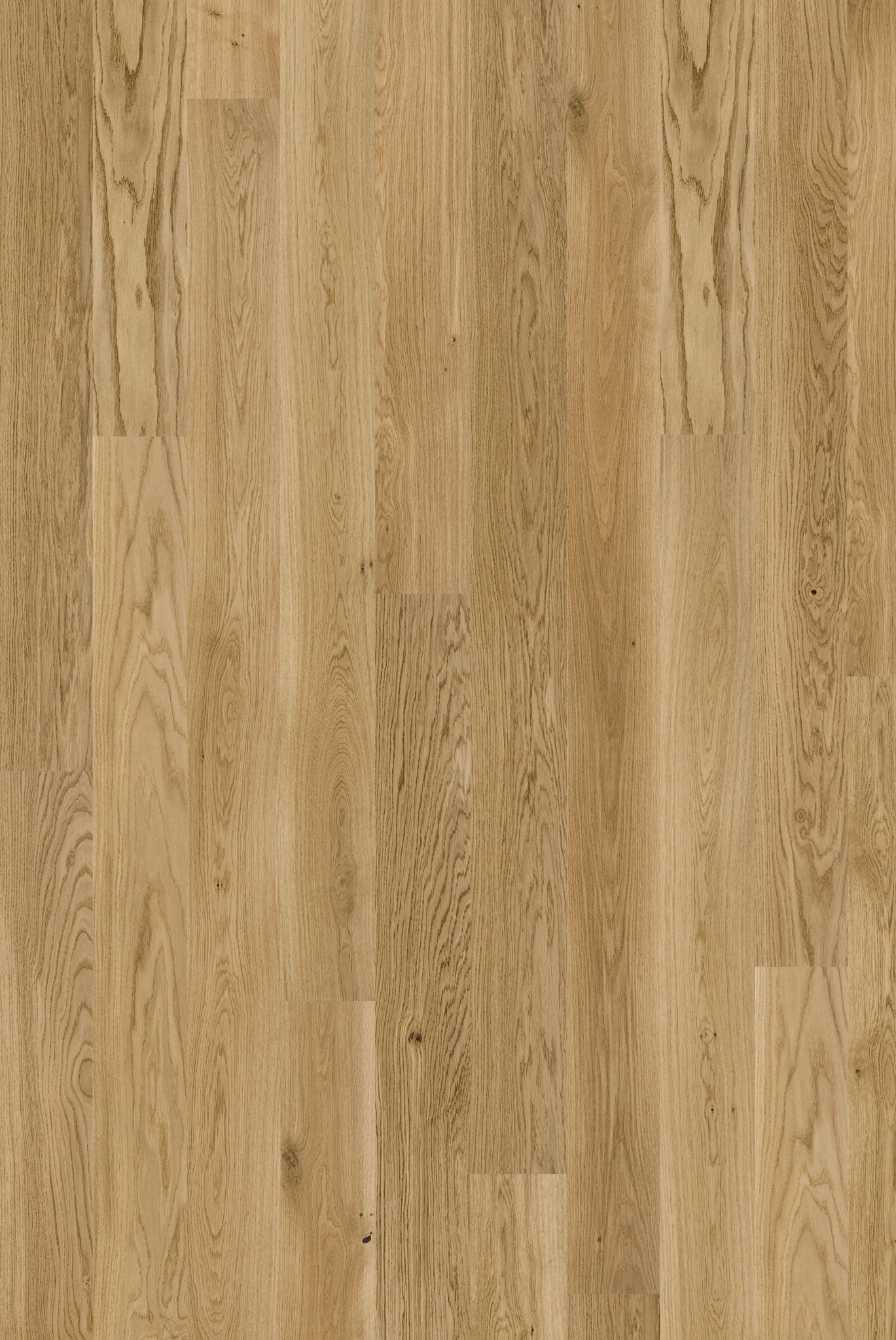 Tarkett Pure - Eg Nature Plank - TC - gulve
