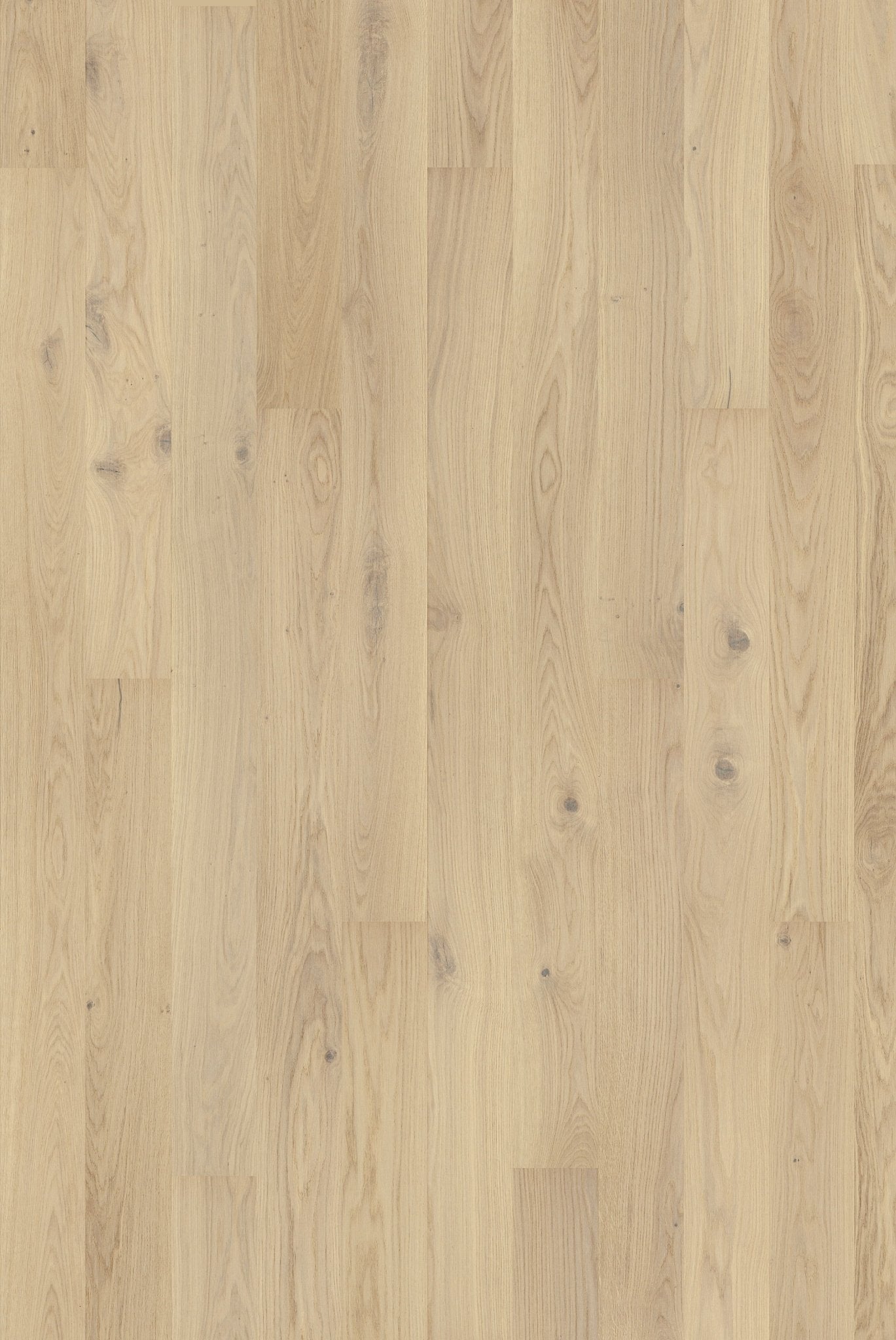 Tarkett Grace - Eg White Canvas Plank - TC - gulve