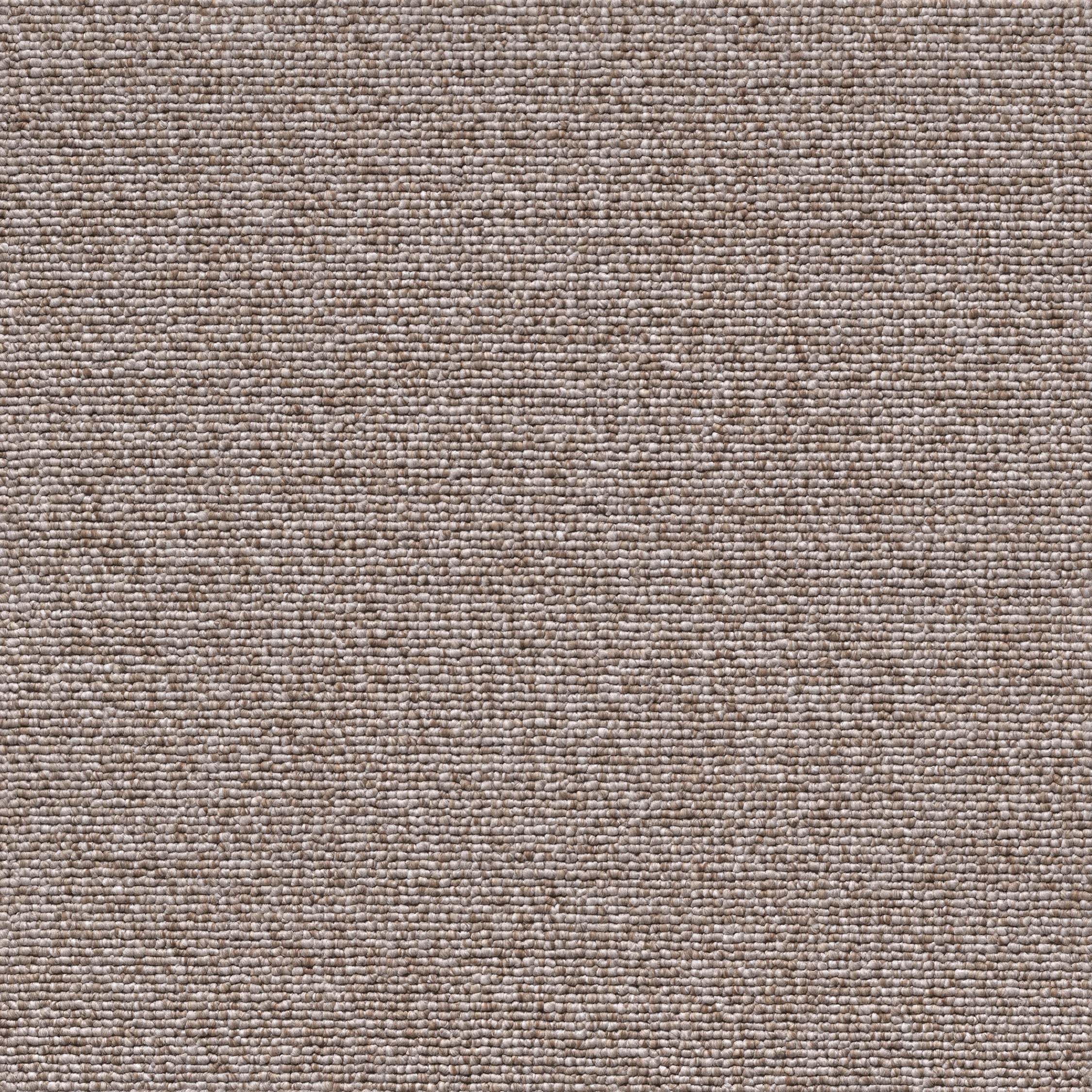 Ege Cantana Terra - Dark Beige