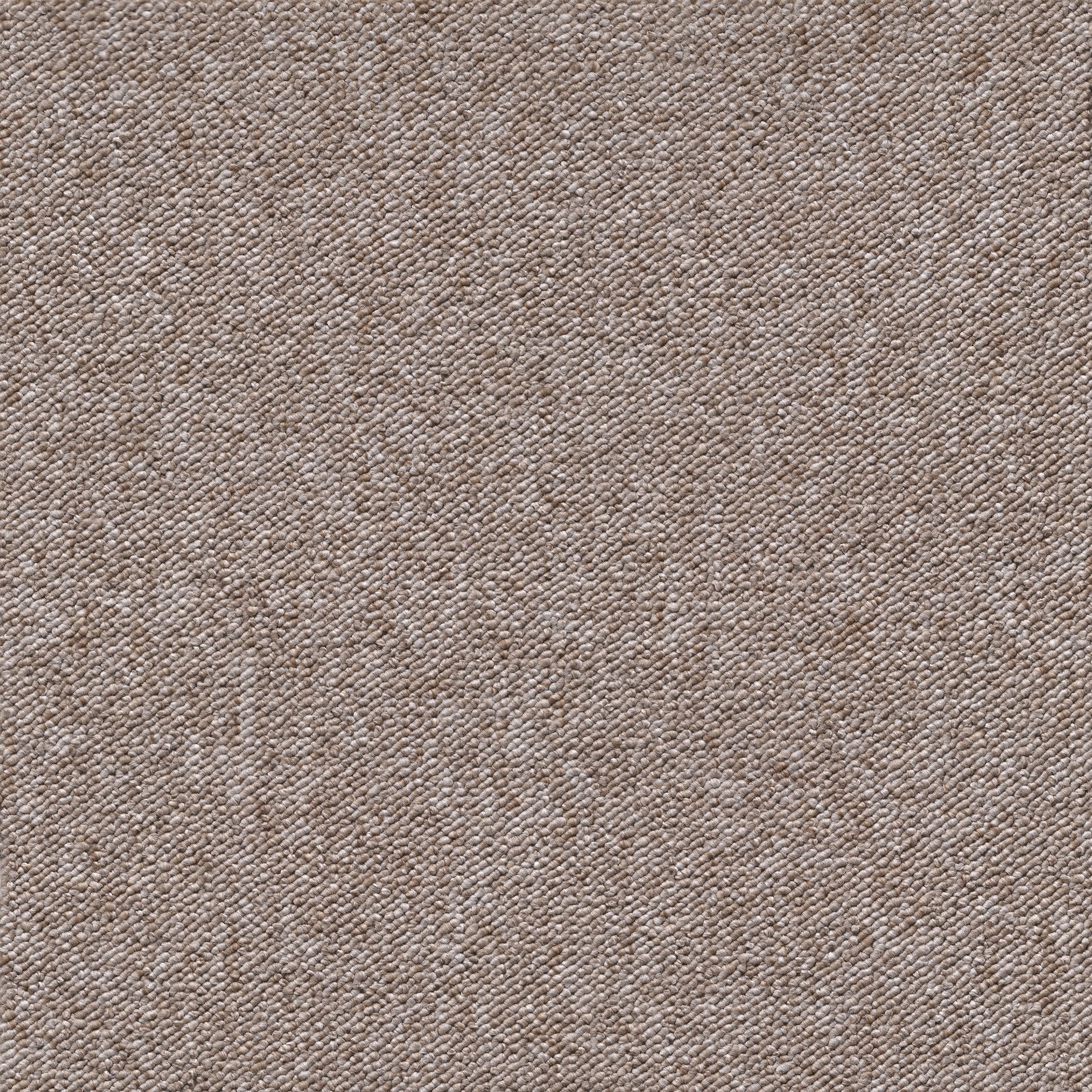 Ege Cantana Solis - Dark Beige