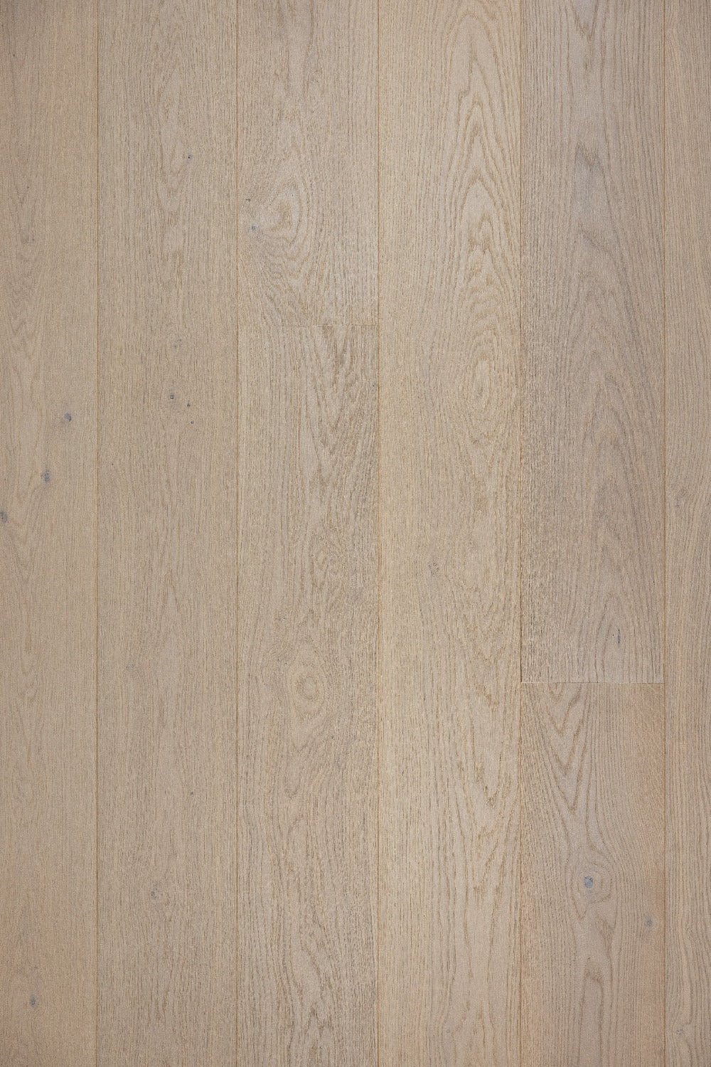 Moland Aston - Eg Hvidolie (Classic Sortering) - TC - gulve