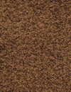 Fletco Bichon - Burnt Amber