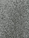 Fletco Bichon - Silver Mist