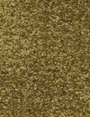 Fletco Bichon - Golden Moss