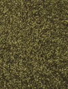 Fletco Bichon - Olive Gold