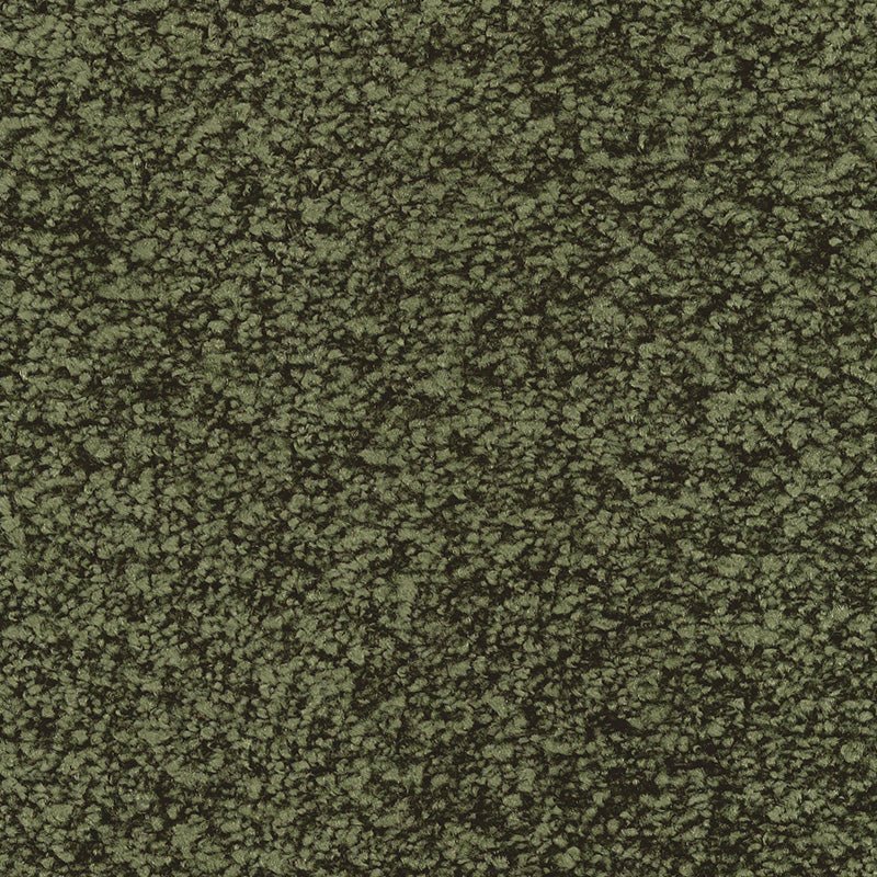 Fletco Bichon - Forest Shadow - TC - gulve
