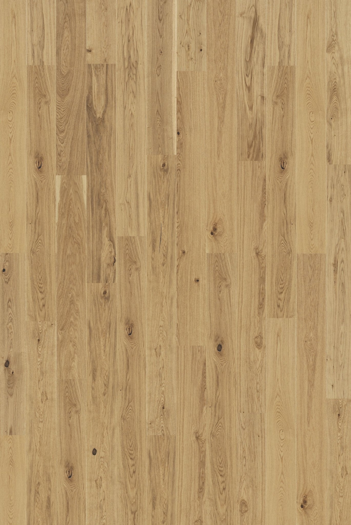 Tarkett Pure - Eg Rustic PEFC Plank XT - TC - gulve