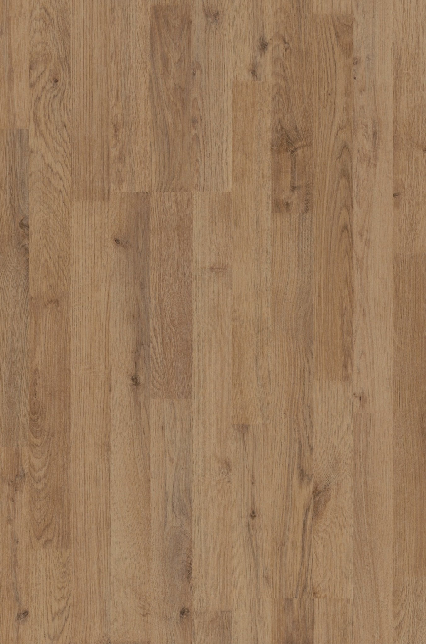 Tarkett Woodstock Laminat - Sunningdale Oak NATURE - TC - gulve
