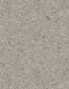 Tarkett T-Extra - Ceppo GREY