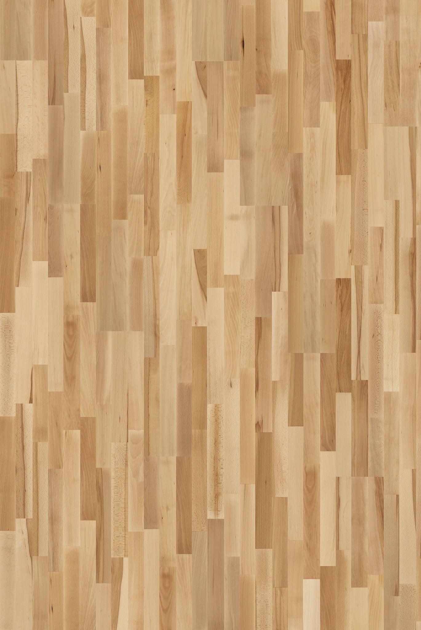 Tarkett Pure - Bøg Contrast TreS (3 - stav) - TC - gulve