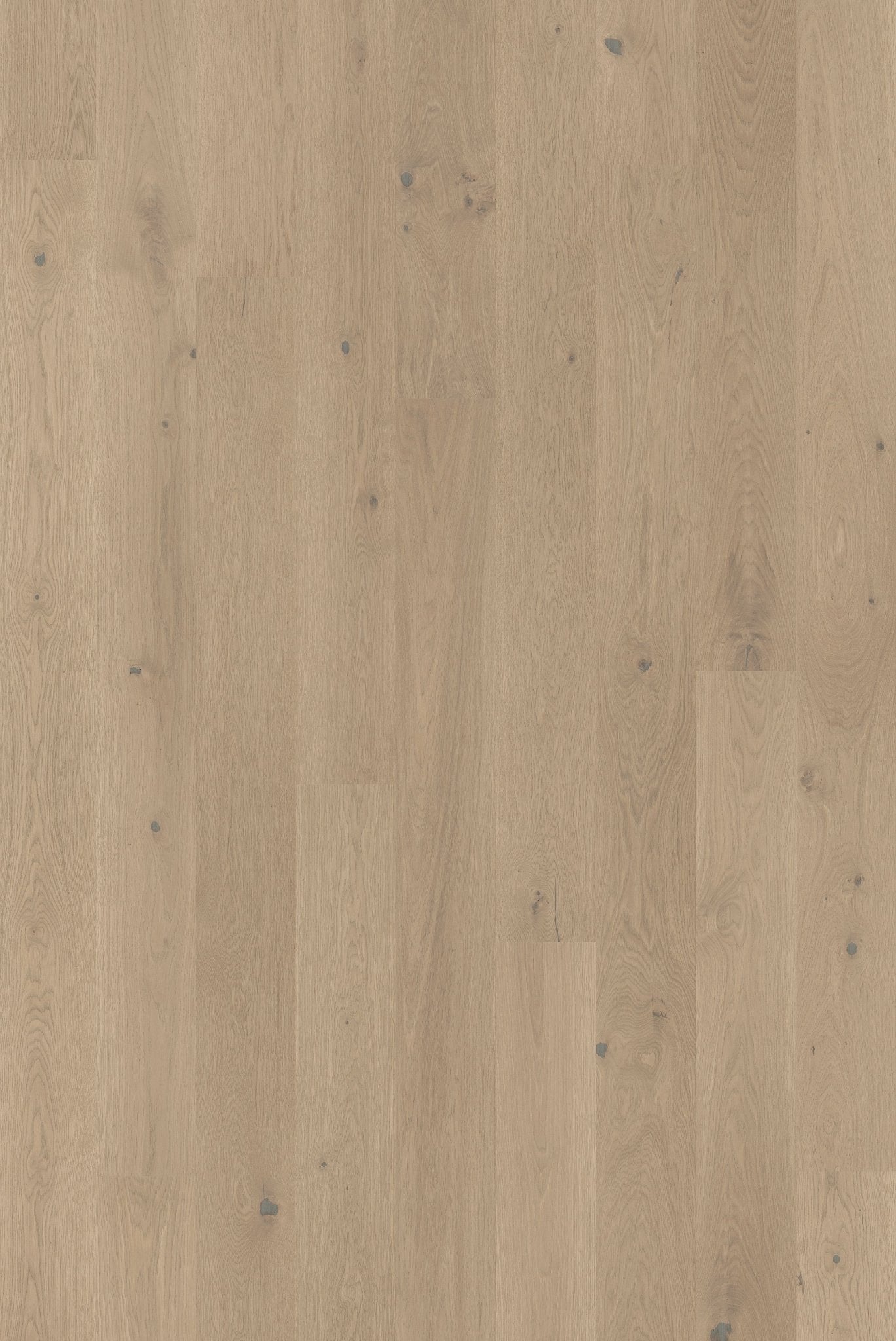 Tarkett Grace - Eg Beige Cashmere Plank XT - TC - gulve