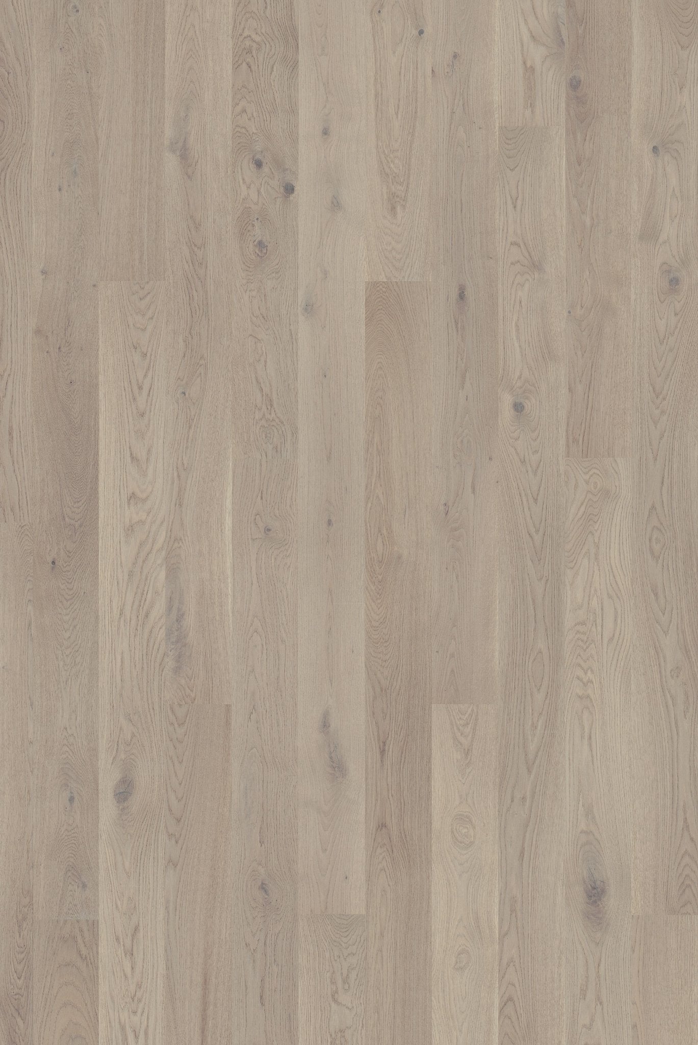 Tarkett Grace - Eg Grey Chiffon Plank - TC - gulve