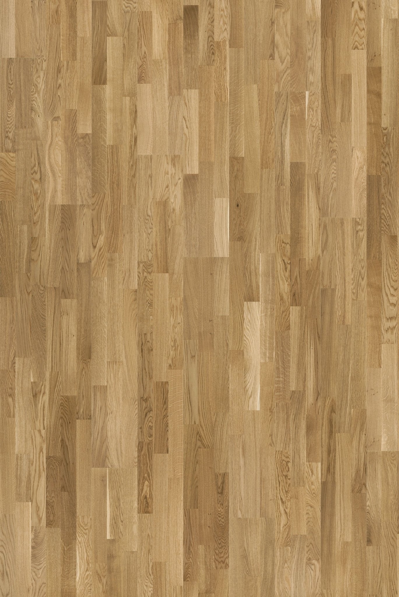 Tarkett Professional 14 - Eg Nature PEFC TreS (3 - stav) - TC - gulve