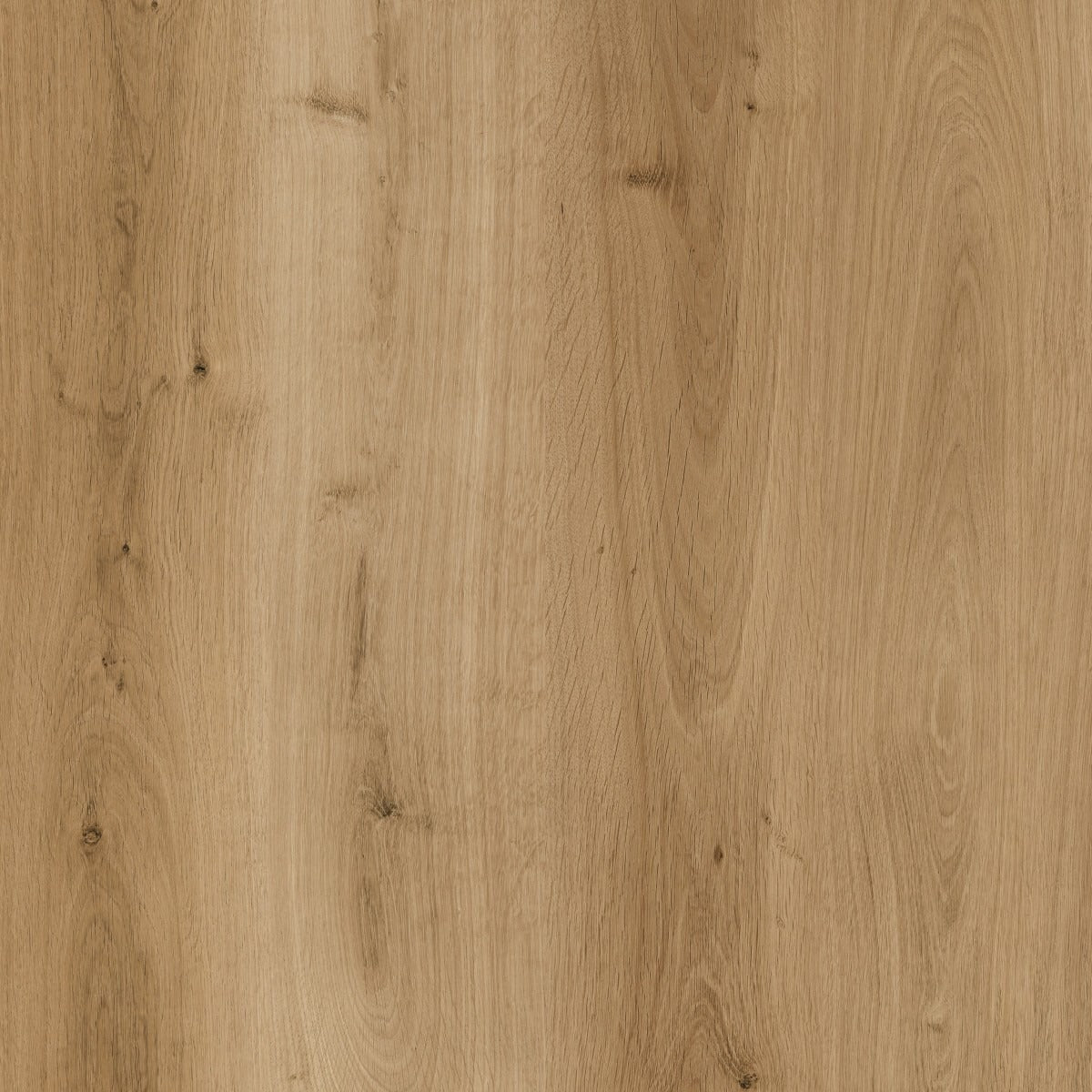 Elite Large LVT Klik Med Kork - 185 Lys Natur - TC - gulve